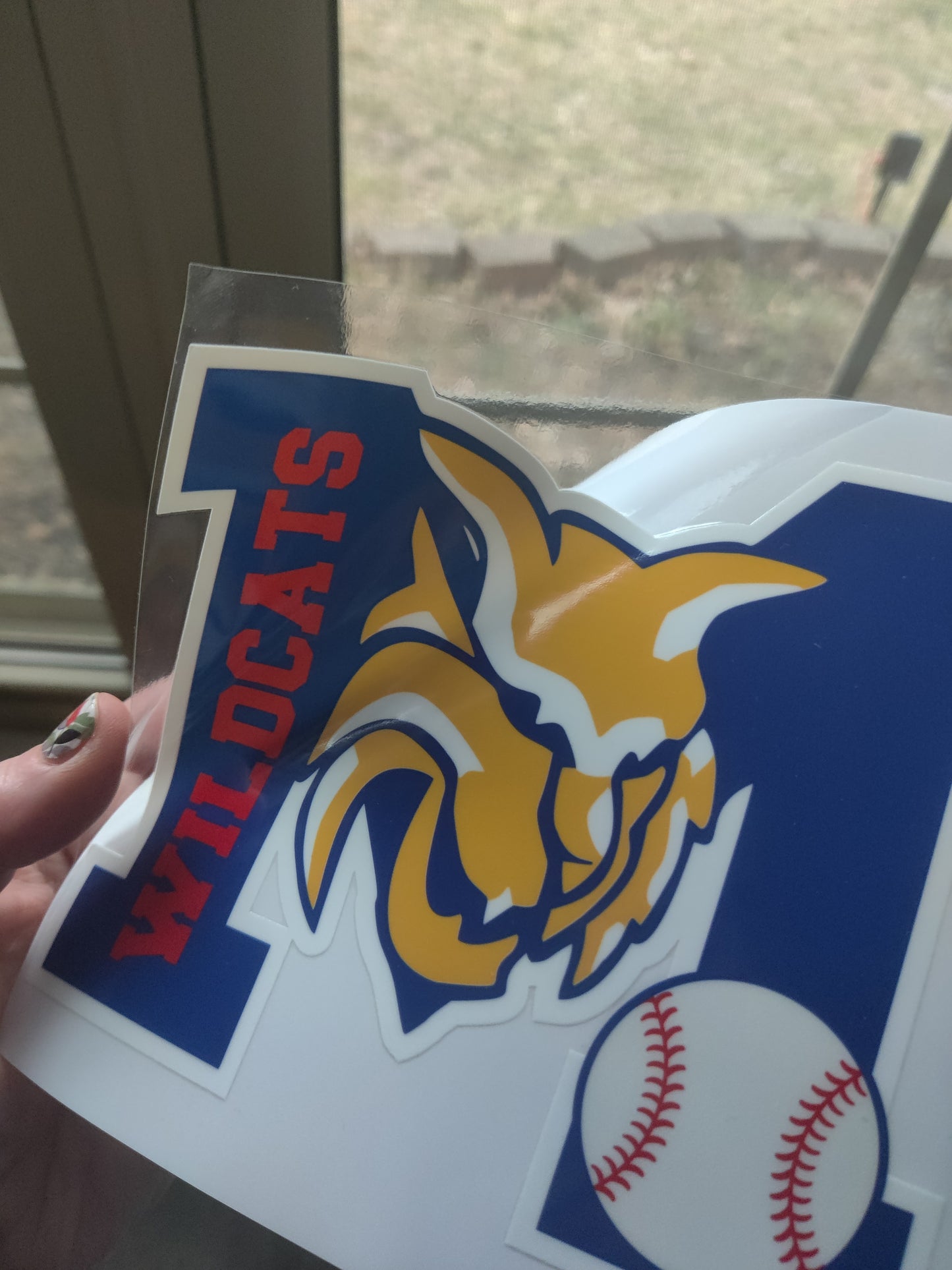 Car Decal - UV Treated