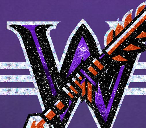 Warriors - Sparkle Logo - Purple